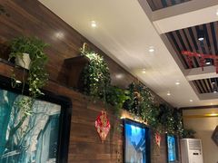 -新侨小馆(东直门北小街店)