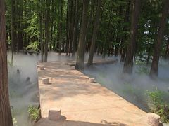 -东湖落雁景区