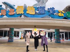 -海合安成都极地海洋公园