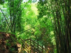 -凤栖山