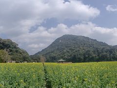 -广州市石门国家森林公园