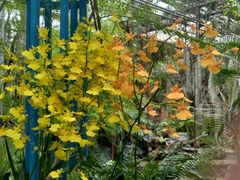 -石家庄市植物园