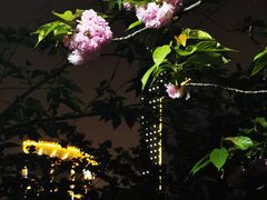 -亢龙太子酒轩·花园店