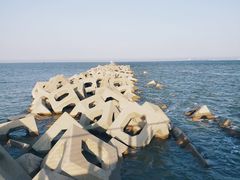 -东疆建设开发纪念公园