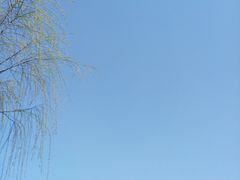 -宁波儿童公园(鄞州区)