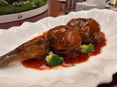 -丁老爷子苏香圆