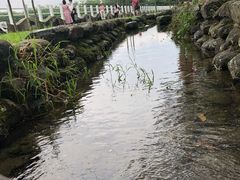 -瑞穗牧场