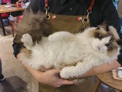 -咖法森林·咖啡  酒吧(天河店)