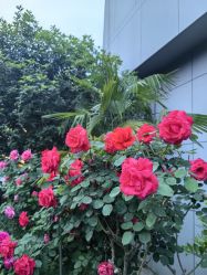 -弗蕾亚·和月月子调理院(东湖店)