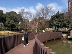 -陈家山荷花公园