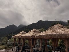 -遇见小院—虹鳟鱼•农家菜(怀柔店)