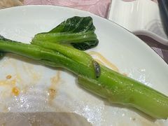 -陶然居·重庆菜(重庆会馆店)