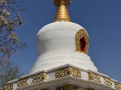 -护国法轮寺