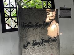 -上海醉白池公园
