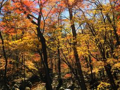 -丹东天桥沟景区