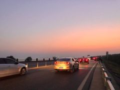 -合肥滨湖国家森林公园