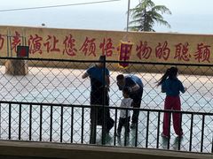 -东方熊牧场