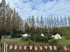 -前小桔亲子创意农场·草莓采摘·露营烧烤