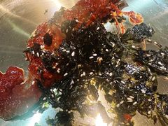 -蜀都冒菜·酱蟹生腌