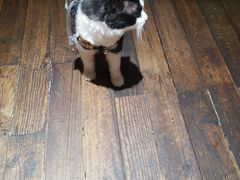 -猫爷的腔调·黔小馆(交大医学住宅区店)