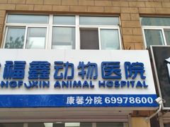 -宠福鑫康馨动物医院·骨科·眼科