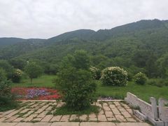 -盛德圆(五台山云龙店)