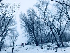 -中旅松花湖滑雪场