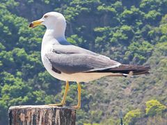 -大连老虎滩海洋公园