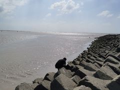 -南汇嘴观海公园