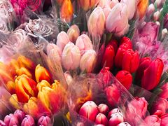 -循礼门鲜花花市(武汉循礼门店)