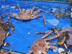 -流舫海鲜酒家(张溪店)