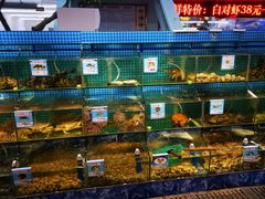 -范饭椰林川湘味海鲜·椰子鸡(三亚湾椰梦长廊店)