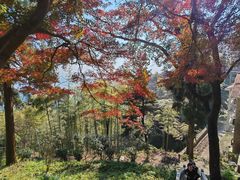 -莫干山风景区