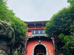 -铁山坪森林公园