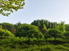 -达活泉公园