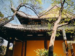 -龙华寺