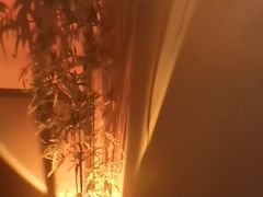 -宁采臣Sleep·采耳·SPA放松馆(湖里万达店)