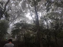 -紫金山山顶公园