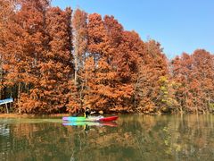 -上海海湾国家森林公园