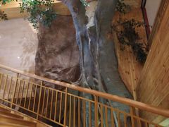 -阿斯牛牛·凉山菜(新会展店)