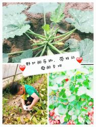 -麦粒鸟亲子游