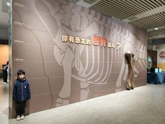 -桂林博物馆