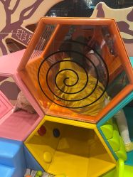 -卡通尼·Safari非洲探索乐园·生日会(金桥国际商业广场店)