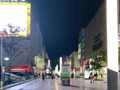 -沙洲路步行街(长安南路店)