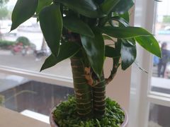-捕螺记螺蛳粉(东关大街店)