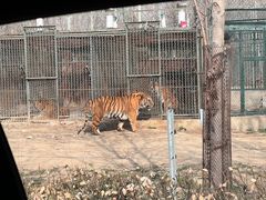 -秦皇岛野生动物园