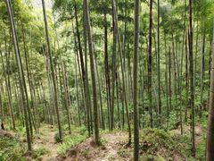 -山沟沟景区