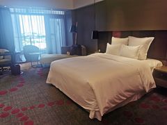 -南京禄口机场雅高铂尔曼大酒店