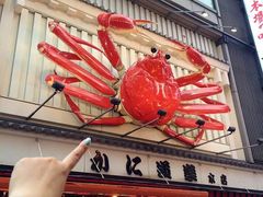 -蟹道乐(道顿堀本店)