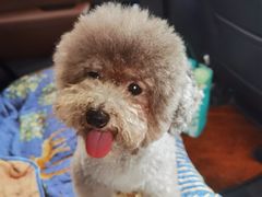 -爱侣宠医·鹦鹉专科·小型哺乳类·异宠专科(灵石路店)